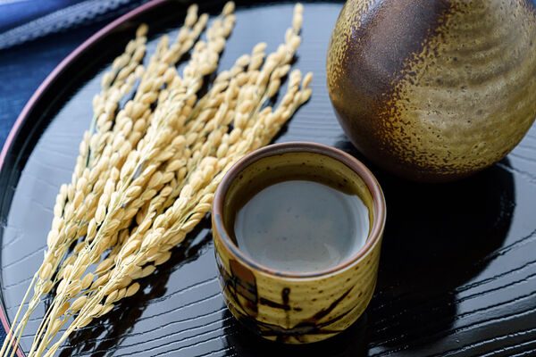 AdobeStock_311341509